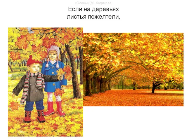 «Осень» (М. Ходякова) Если на деревьях листья пожелтели,