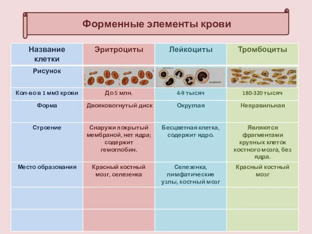 Форменные элементы крови