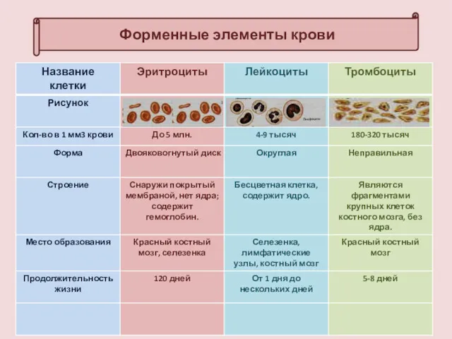 Форменные элементы крови