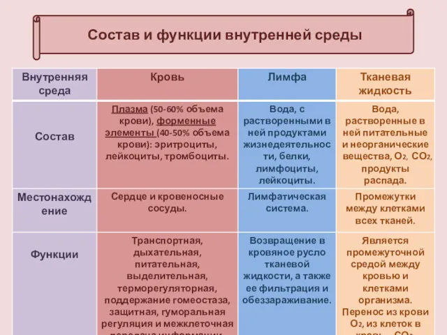 Состав и функции внутренней среды