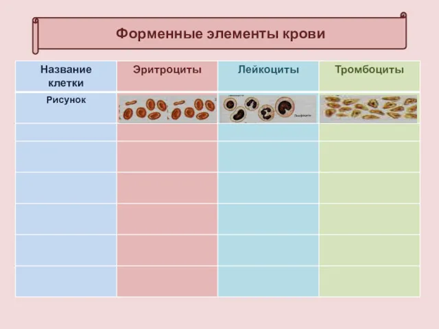 Форменные элементы крови