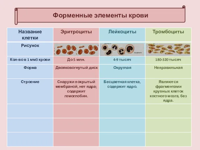 Форменные элементы крови