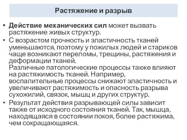 Растяжение и разрыв Действие механических сил может вызвать растяжение живых