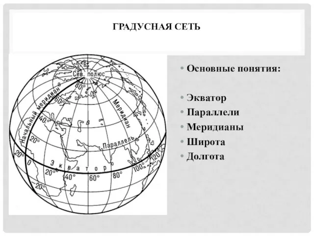 ГРАДУСНАЯ СЕТЬ Основные понятия: Экватор Параллели Меридианы Широта Долгота