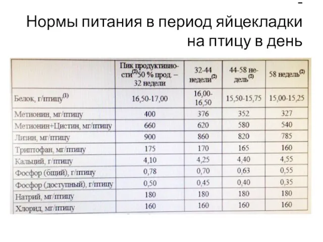 - Нормы питания в период яйцекладки на птицу в день