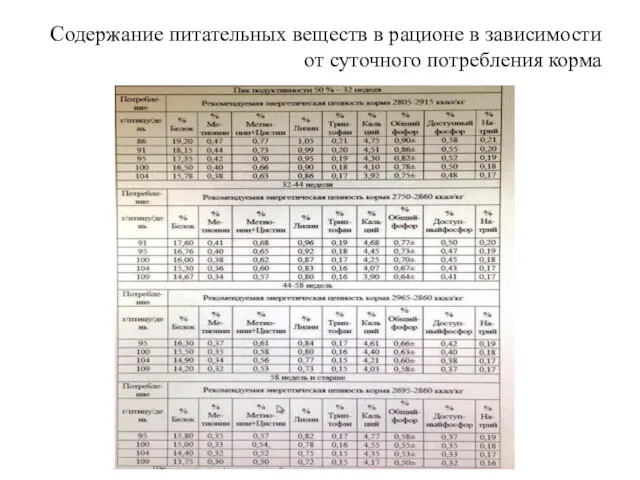 Содержание питательных веществ в рационе в зависимости от суточного потребления корма