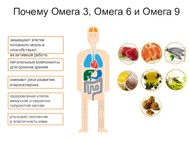 Почему Омега 3, Омега 6 и Омега 9 защищают клетки