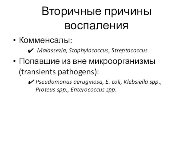 Вторичные причины воспаления Комменсалы: Malassezia, Staphylococcus, Streptococcus Попавшие из вне