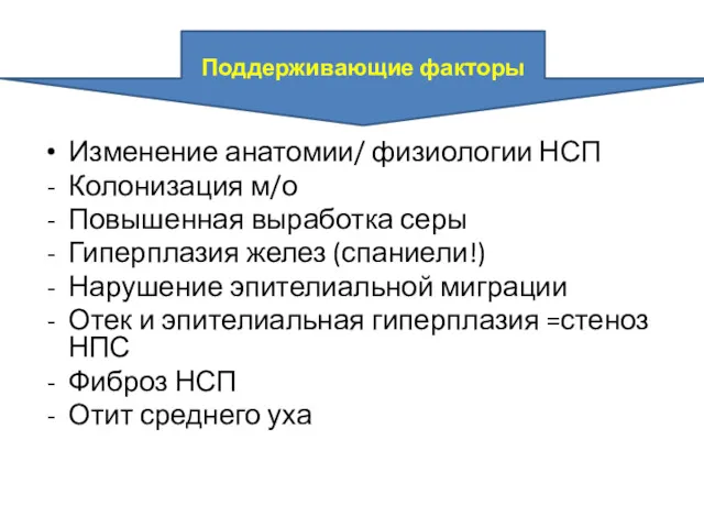 Изменение анатомии/ физиологии НСП Колонизация м/о Повышенная выработка серы Гиперплазия