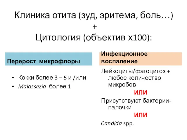 Клиника отита (зуд, эритема, боль…) + Цитология (объектив х100): Перерост