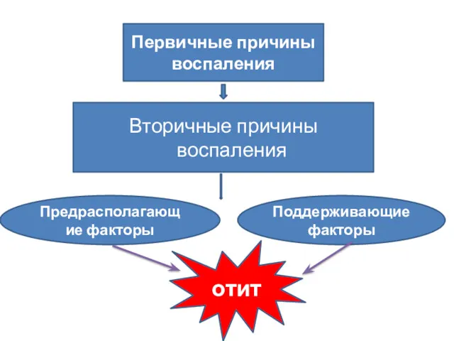 Вторичные причины воспаления Первичные причины воспаления Предрасполагающие факторы Поддерживающие факторы отит