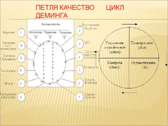 ПЕТЛЯ КАЧЕСТВО ЦИКЛ ДЕМИНГА