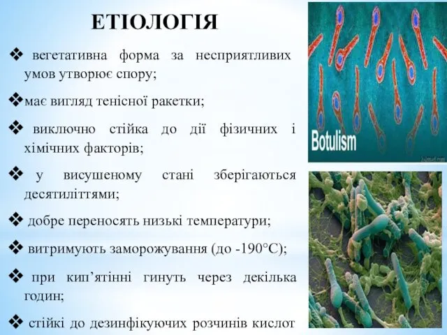 ЕТІОЛОГІЯ вегетативна форма за несприятливих умов утворює спору; має вигляд