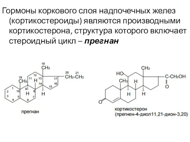 Гормоны коркового слоя надпочечных желез (кортикостероиды) являются производными кортикостерона, структура которого включает стероидный цикл – прегнан