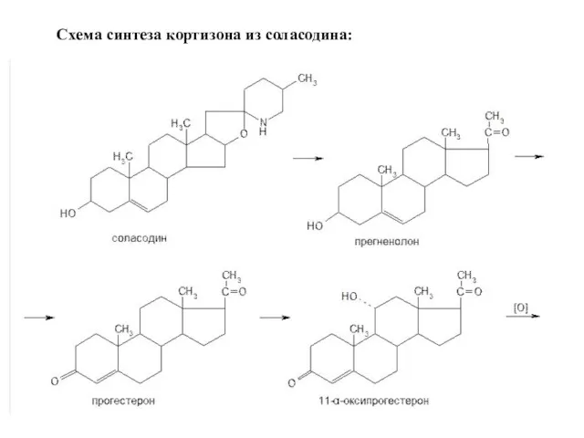 Схема синтеза кортизона из соласодина: