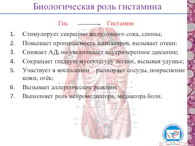 Биологическая роль гистамина Стимулирует секрецию желудочного сока, слюны; Повышает проницаемость