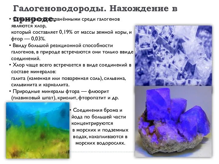 Галогеноводороды. Нахождение в природе. Самыми распространёнными среди галогенов являются хлор,