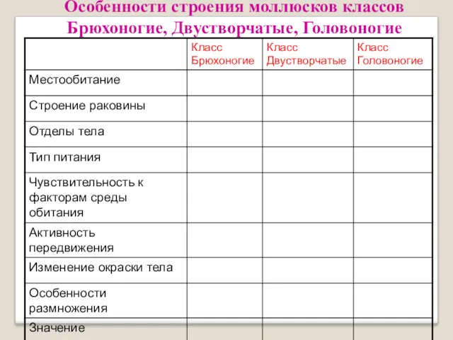 Особенности строения моллюсков классов Брюхоногие, Двустворчатые, Головоногие