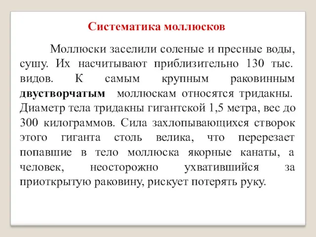 Систематика моллюсков Моллюски заселили соленые и пресные воды, сушу. Их