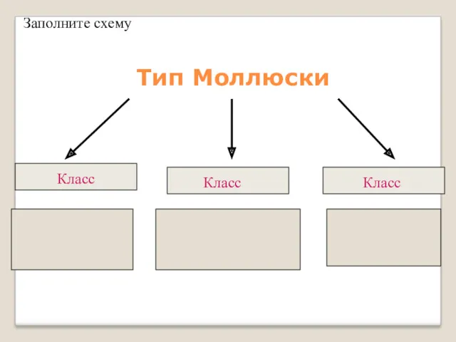 Тип Моллюски Класс Класс Класс Заполните схему