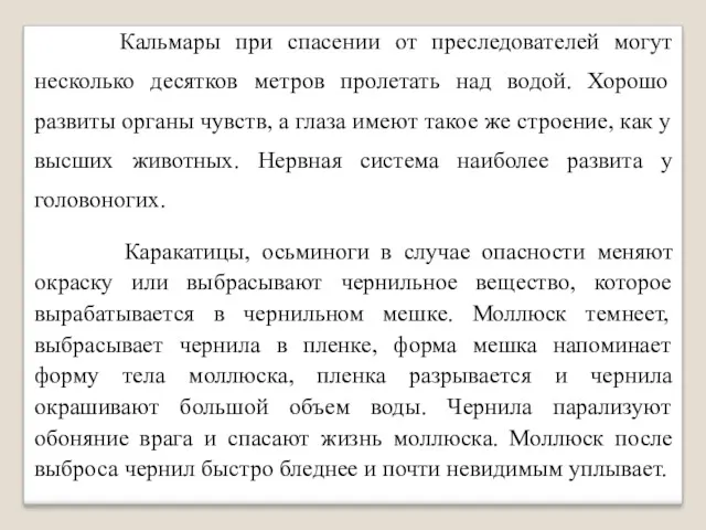 Кальмары при спасении от преследователей могут несколько десятков метров пролетать