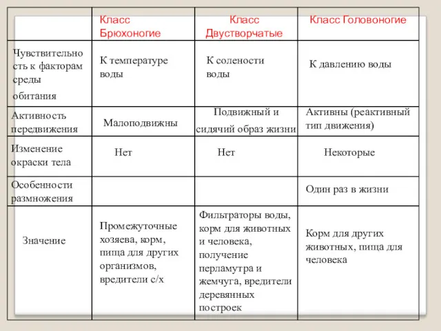 Класс Брюхоногие Класс Двустворчатые Класс Головоногие Активность передвижения Малоподвижны Подвижный