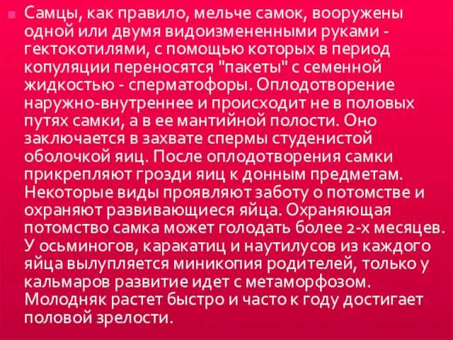 Самцы, как правило, мельче самок, вооружены одной или двумя видоизмененными