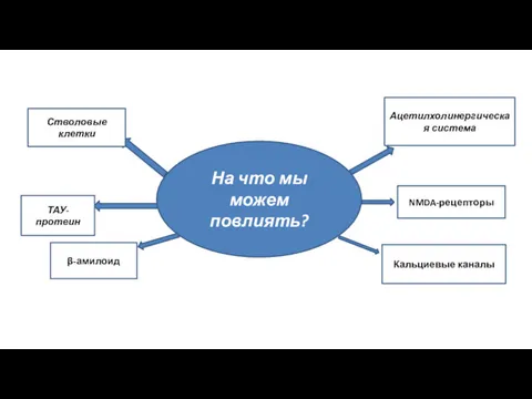 На что мы можем повлиять? Ацетилхолинергическая система NMDA-рецепторы Кальциевые каналы β-амилоид ТАУ-протеин Стволовые клетки