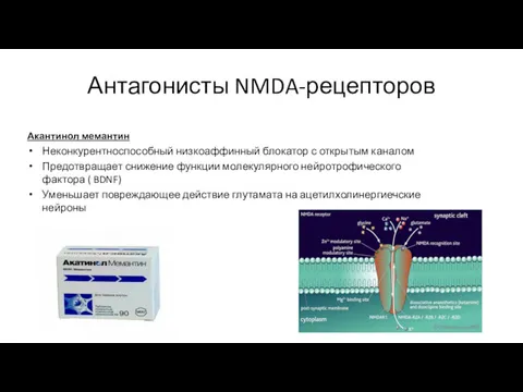 Антагонисты NMDA-рецепторов Акантинол мемантин Неконкурентноспособный низкоаффинный блокатор с открытым каналом