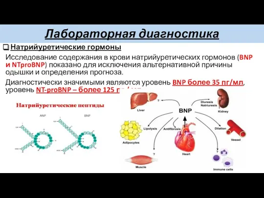 Лабораторная диагностика Натрийуретические гормоны Исследование содержания в крови натрийуретических гормонов (BNP и NTproBNP)