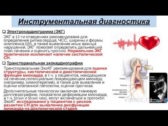Инструментальная диагностика Электрокардиограмма (ЭКГ) ЭКГ в 12-ти отведениях рекомендована для определения ритма сердца,