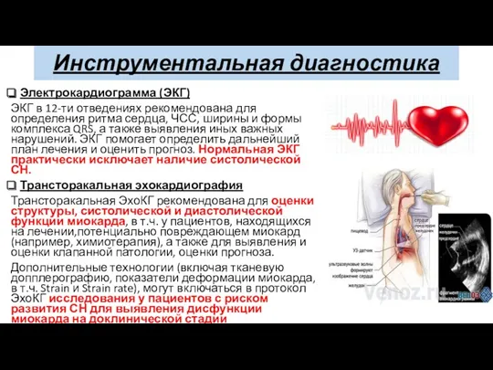 Инструментальная диагностика Электрокардиограмма (ЭКГ) ЭКГ в 12-ти отведениях рекомендована для