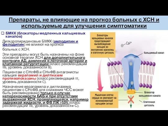 Препараты, не влияющие на прогноз больных с ХСН и используемые