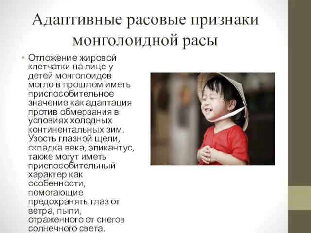 Адаптивные расовые признаки монголоидной расы Отложение жировой клетчатки на лице у детей монголоидов