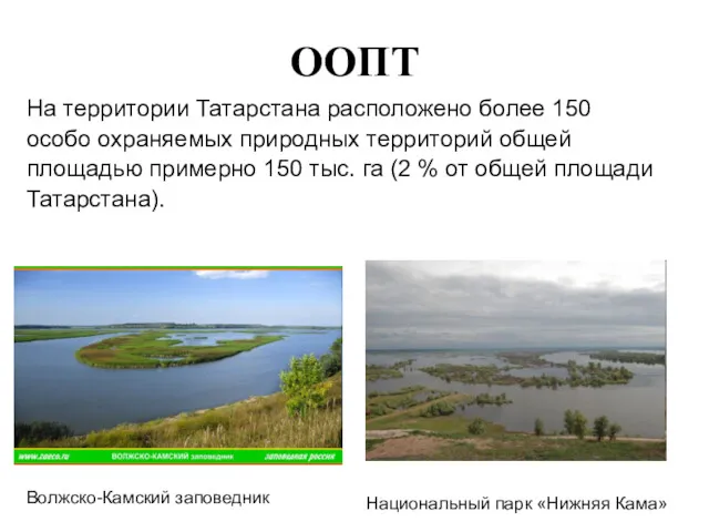 ООПТ На территории Татарстана расположено более 150 особо охраняемых природных