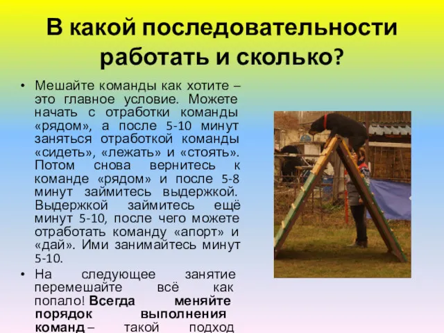 В какой последовательности работать и сколько? Мешайте команды как хотите