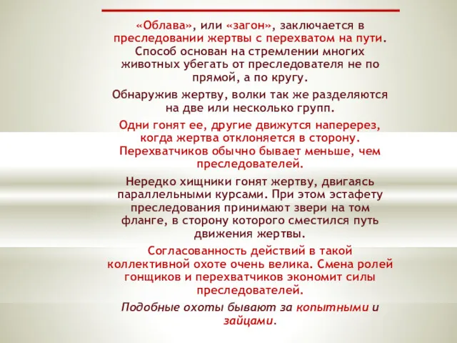 «Облава», или «загон», заключается в преследовании жертвы с перехватом на