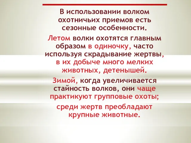 В использовании волком охотничьих приемов есть сезонные особенности. Летом волки