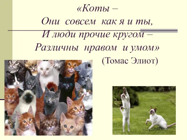 «Коты – Они совсем как я и ты, И люди прочие кругом –