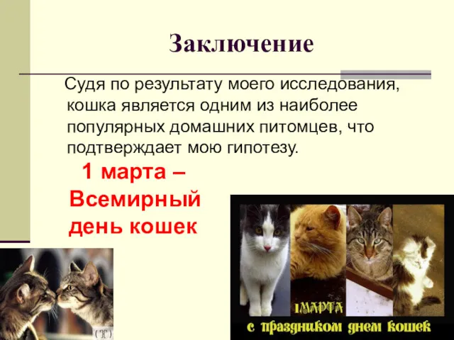 Заключение Судя по результату моего исследования, кошка является одним из