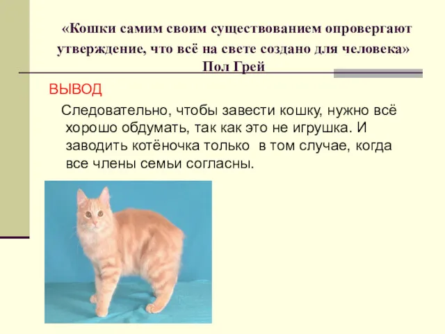 «Кошки самим своим существованием опровергают утверждение, что всё на свете создано для человека»