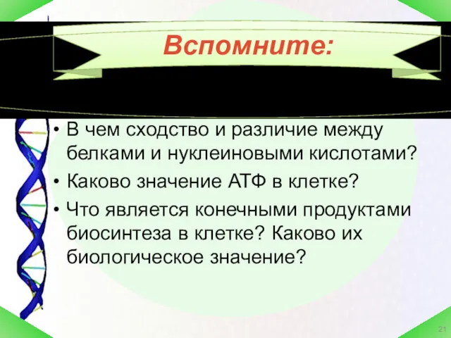 В чем сходство и различие между белками и нуклеиновыми кислотами?