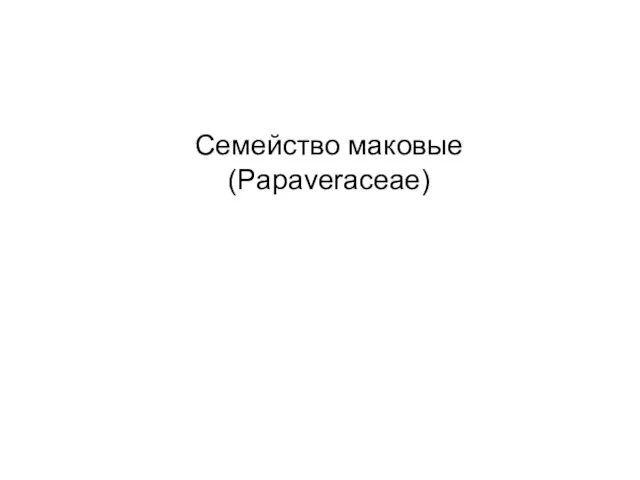 Семейство маковые (Papaveraceae)