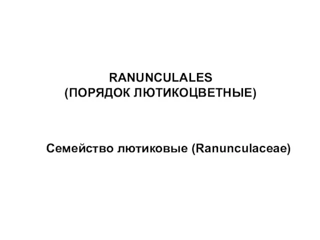 RANUNCULALES (ПОРЯДОК ЛЮТИКОЦВЕТНЫЕ) Семейство лютиковые (Ranunculaceae)