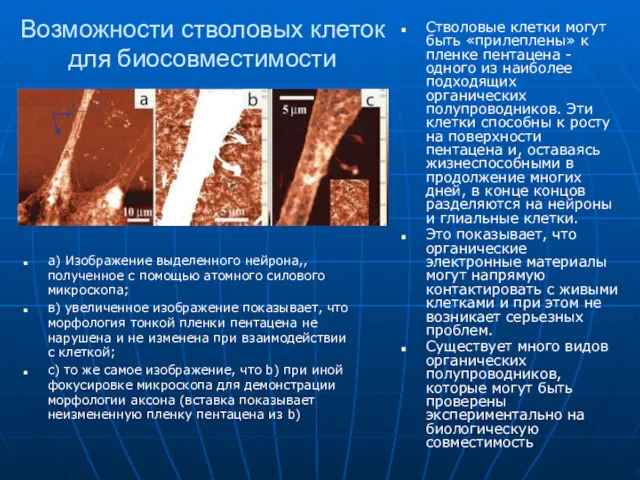 Возможности стволовых клеток для биосовместимости a) Изображение выделенного нейрона,, полученное