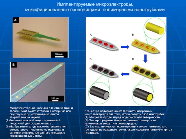 Имплантируемые микроэлектроды, модифицированные проводящими полимерными нанотрубками Микроэлектродные массивы для стимуляции