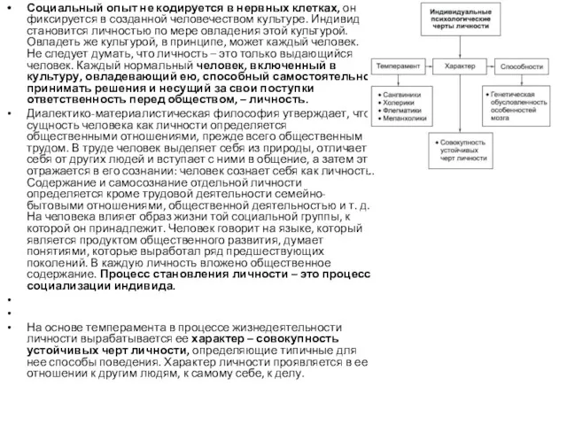 Социальный опыт не кодируется в нервных клетках, он фиксируется в