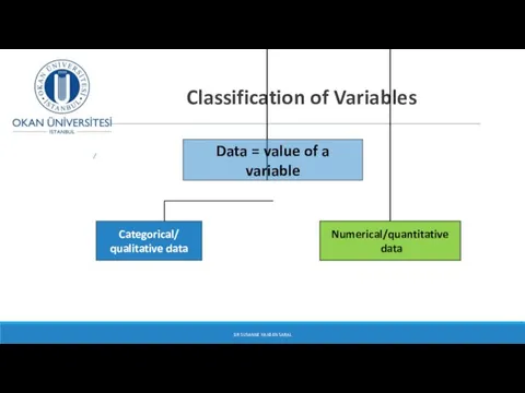 Classification of Variables DR SUSANNE HANSEN SARAL