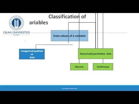 Classification of Variables DR SUSANNE HANSEN SARAL