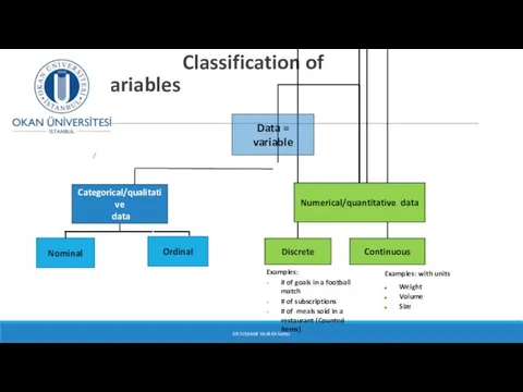 Classification of Variables DR SUSANNE HANSEN SARAL Examples: # of